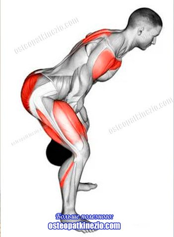 На фото показано как дается нагрузка на мышцы при фитнес упражнениях.